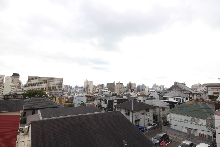 ロイヤルサクラ その他3