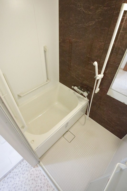 ラルーチェ新長田 風呂画像