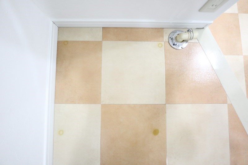 パンブロスⅤ その他23