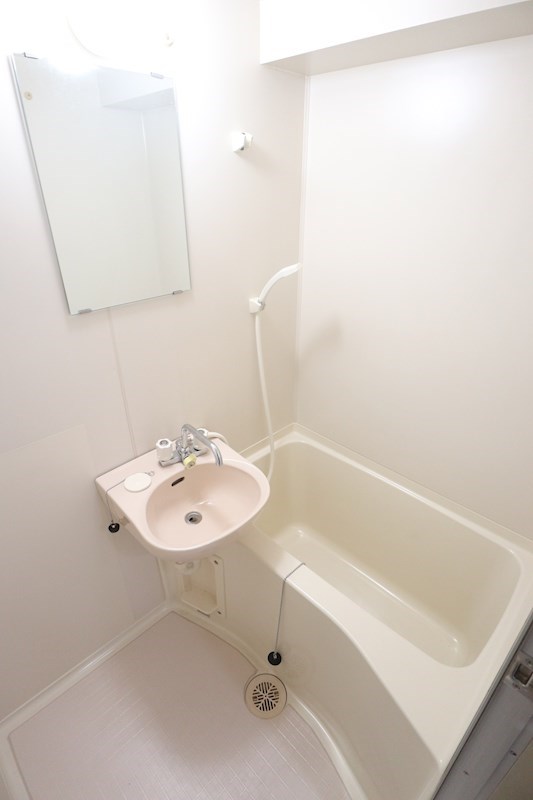 パンブロスⅤ 風呂画像