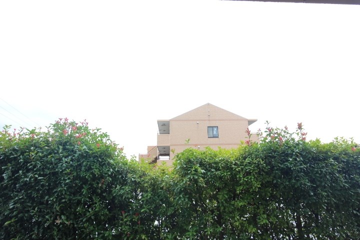 St.HILLS その他4