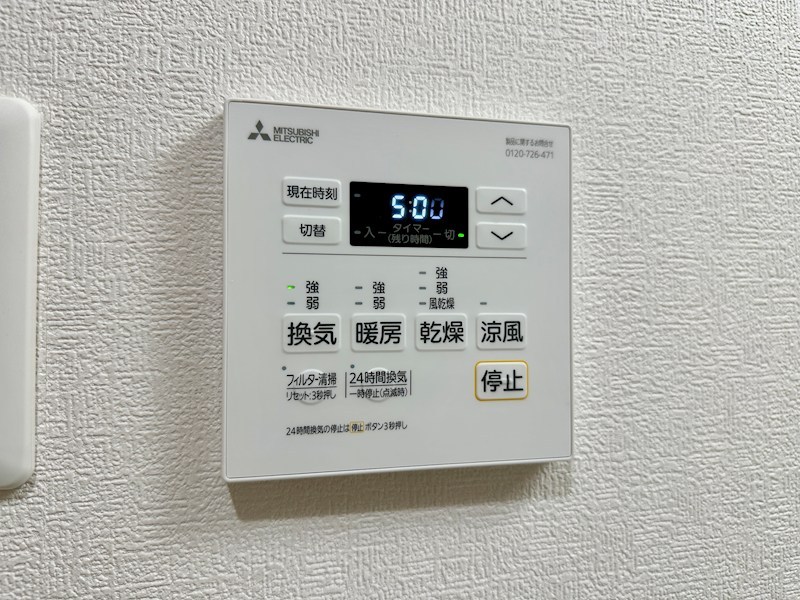 エフラクサシーム その他7