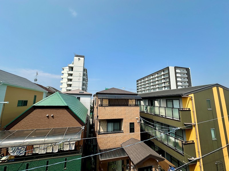 エフラクサシーム その他3
