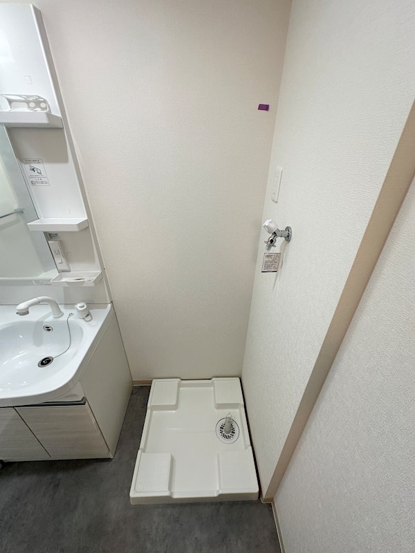 エフラクサシーム その他20