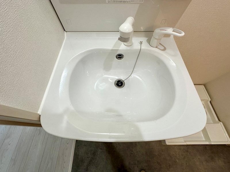 エフラクサシーム その他22