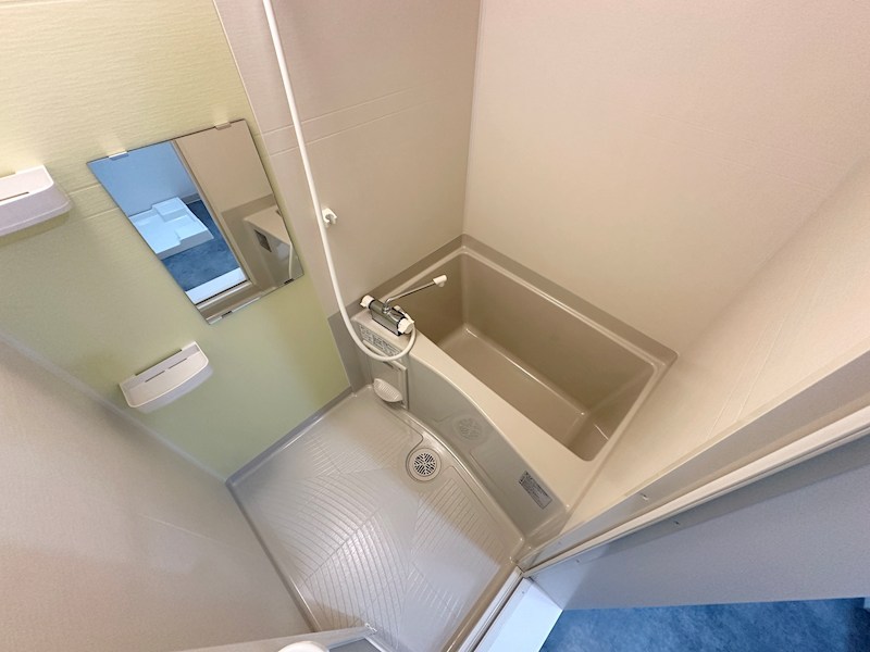 エフラクサシーム 風呂画像