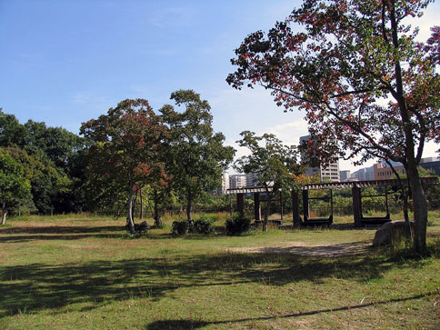 落合農住団地Ｅ棟 周辺画像9