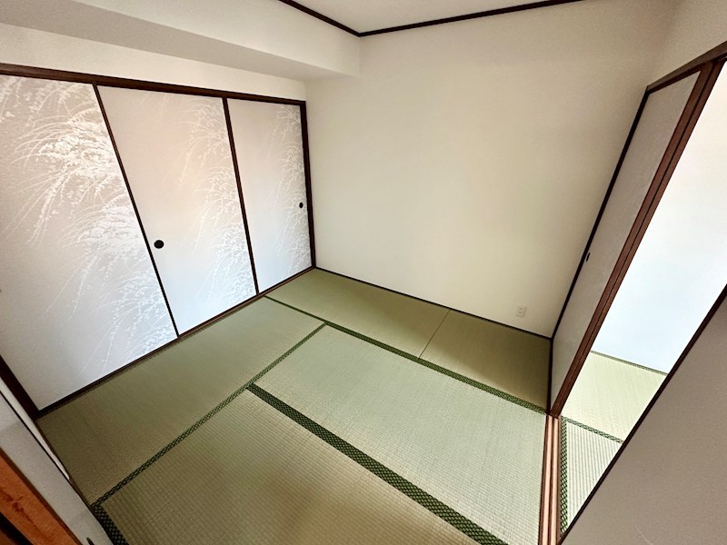 CASA K-1 その他8
