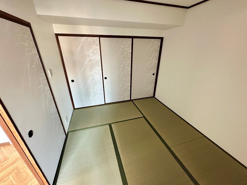 CASA K-1 その他19