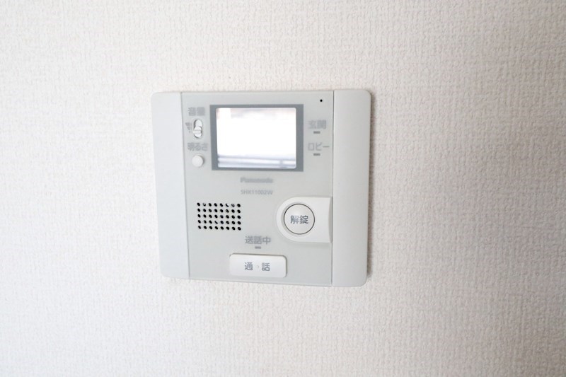 ラフィシア その他19