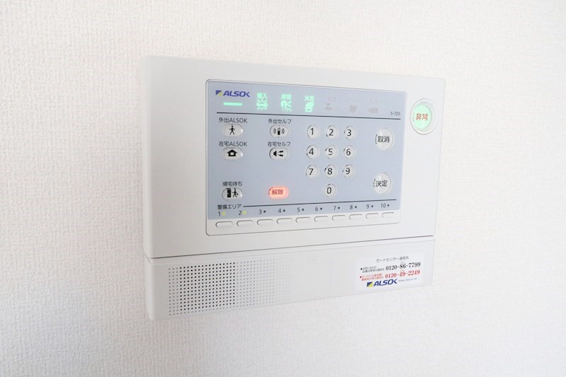 ラフィシア その他20