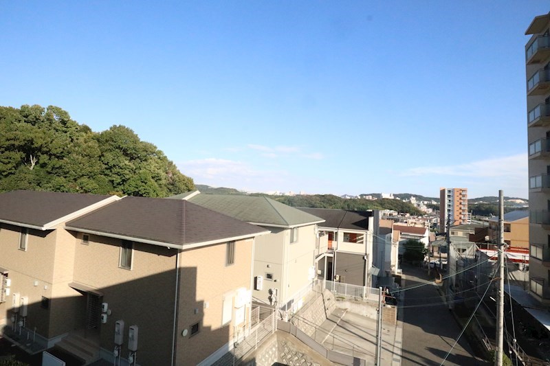 シャルマンヴィオラ その他3