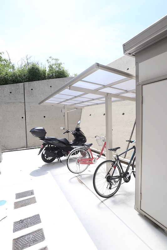 シャルマンヴィオラ その他6