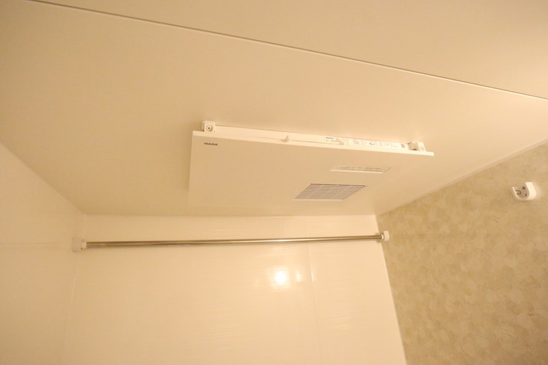 シャルマンヴィオラ その他14