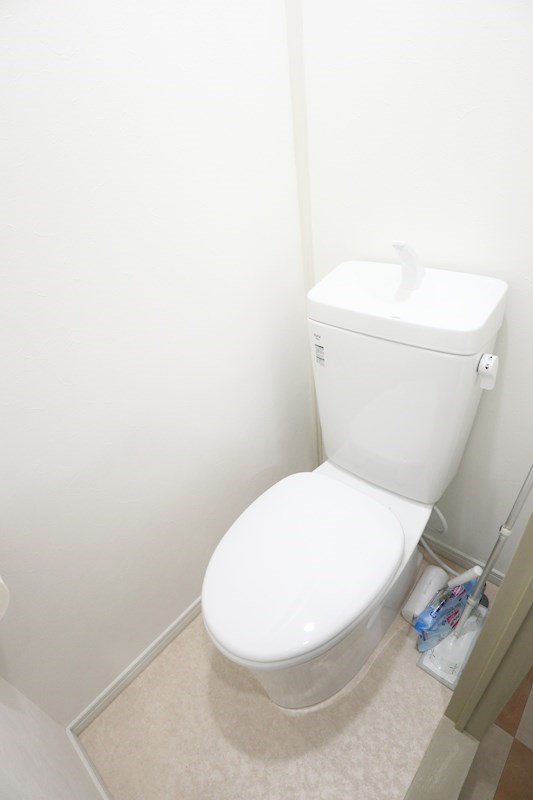 パンブロスⅤ その他1