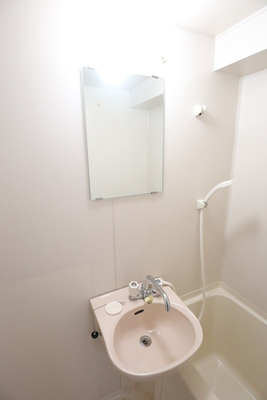 パンブロスⅤ その他2