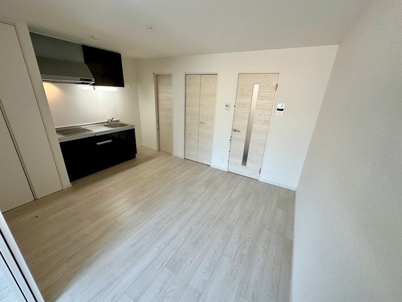 エフ アセシア デュマリス その他11