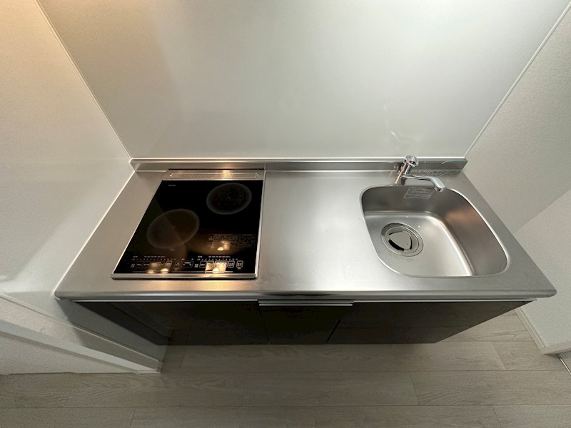 エフ アセシア デュマリス その他15