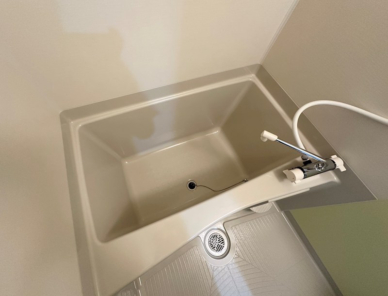 エフ アセシア デュマリス その他16