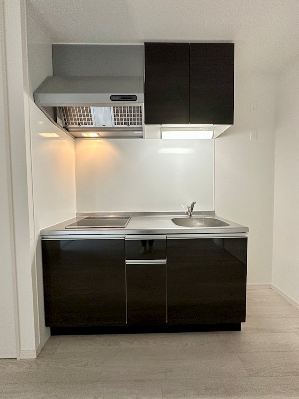 エフ アセシア デュマリス キッチン