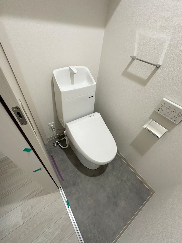 エフ アセシア デュマリス その他1