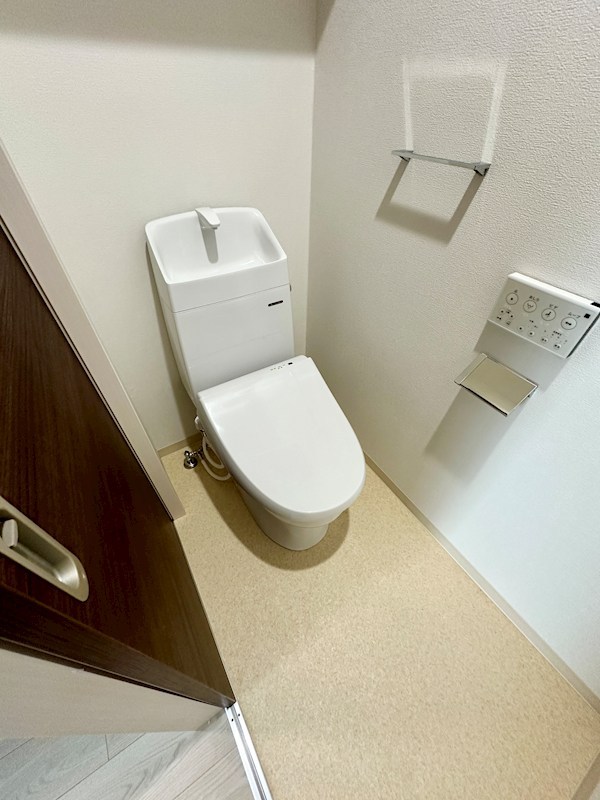 エフ アセシア デュマリス その他1