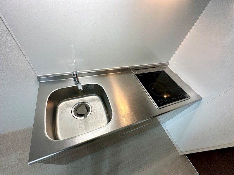 エフ アセシア デュマリス その他12