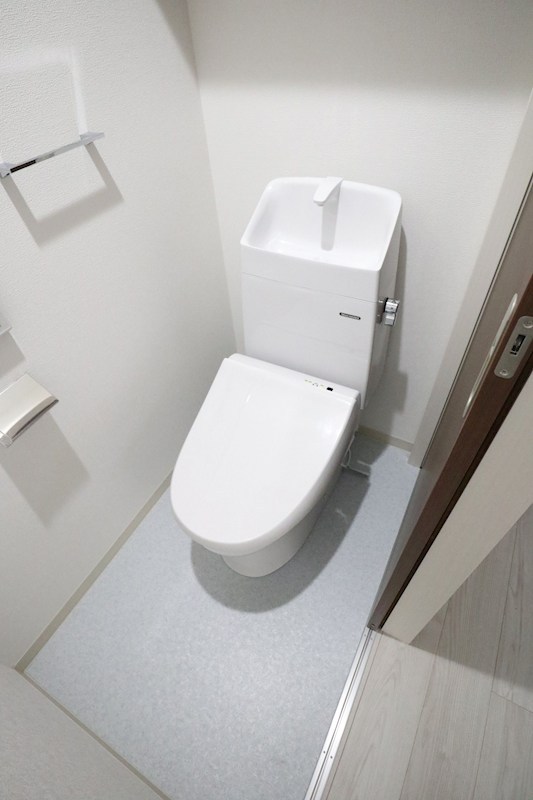 エフ アセシア デュマリス その他1