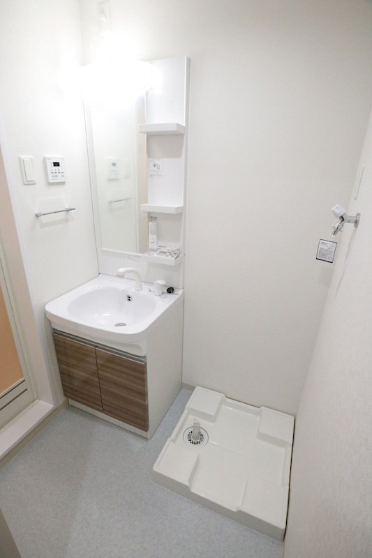 エフ アセシア デュマリス その他2