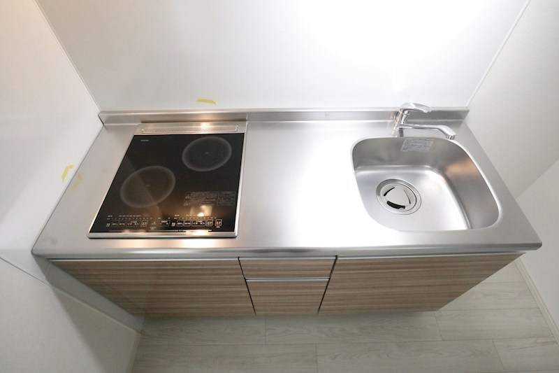 エフ アセシア デュマリス その他8