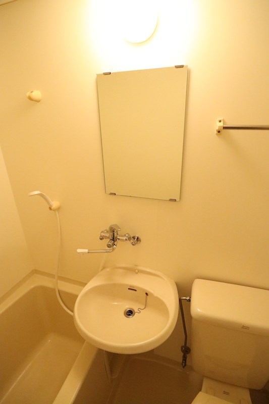 デュランタ その他2