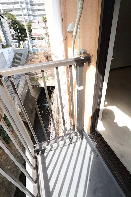 デュランタ その他12