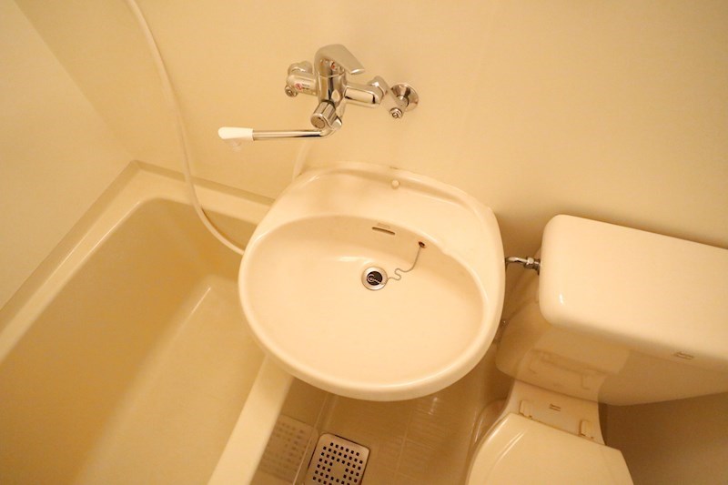 デュランタ その他18