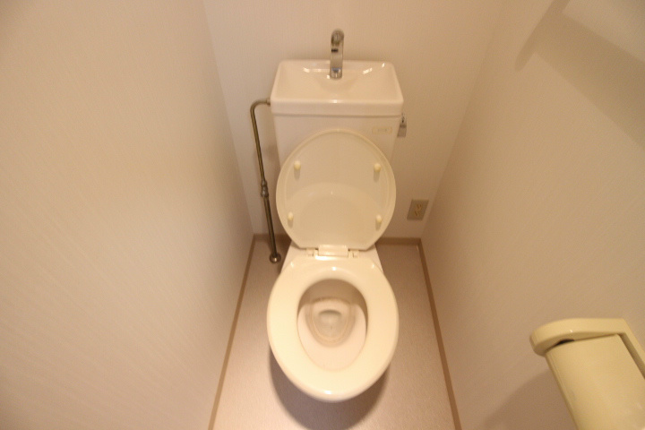 フルーレットⅠ その他1