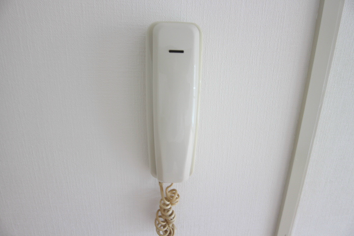 フルーレットⅠ その他21