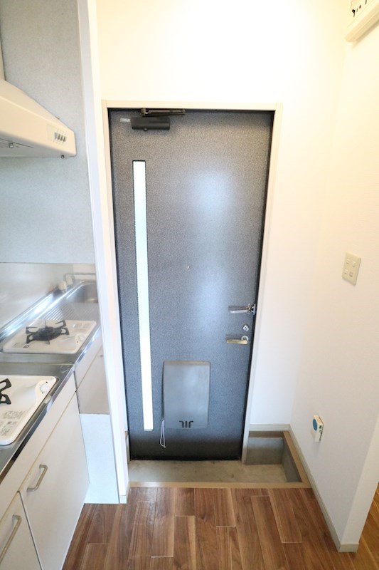 グリーンシャトレⅡ 玄関