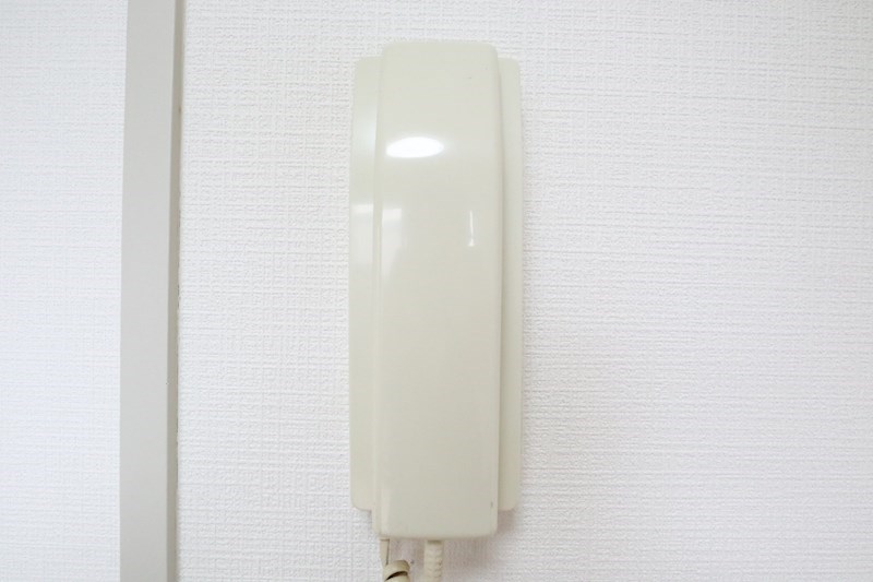 グリーンシャトレⅡ その他21