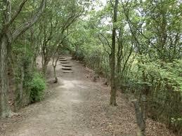 ヴィラナリー雲雀ヶ丘4号棟 周辺画像7