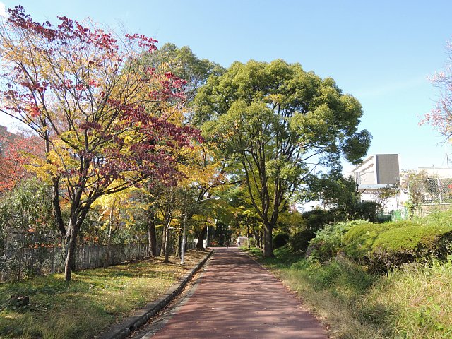 高倉台4団地16号棟 周辺画像9