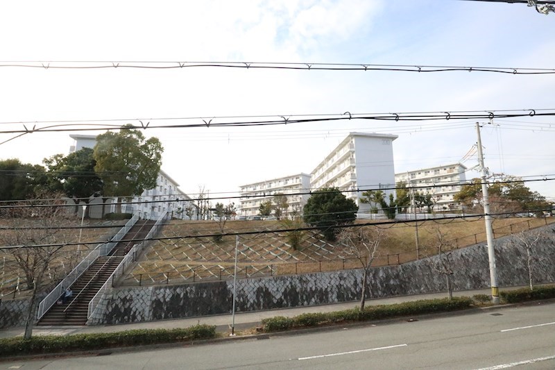 セグンド・エビスヤ その他3