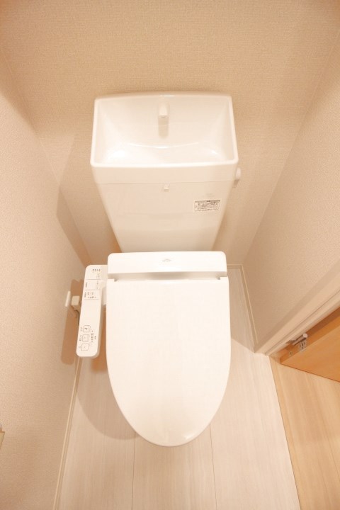 ブル・マリーノ衣掛 その他1