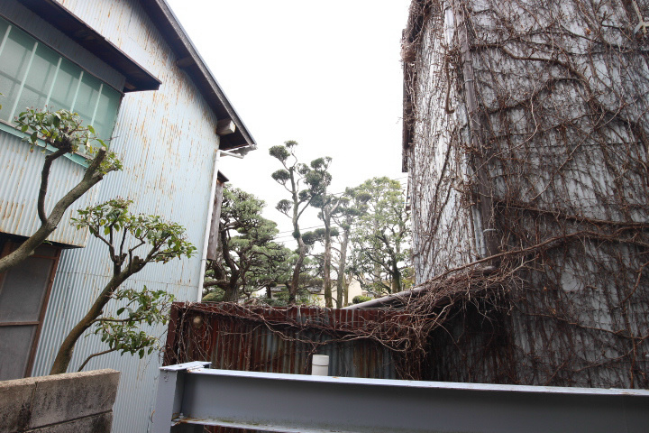 セゾン東須磨 その他3