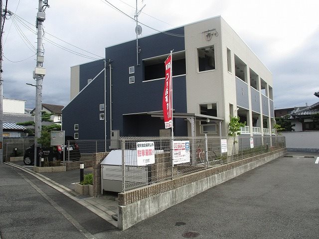 ハナミズキ 外観
