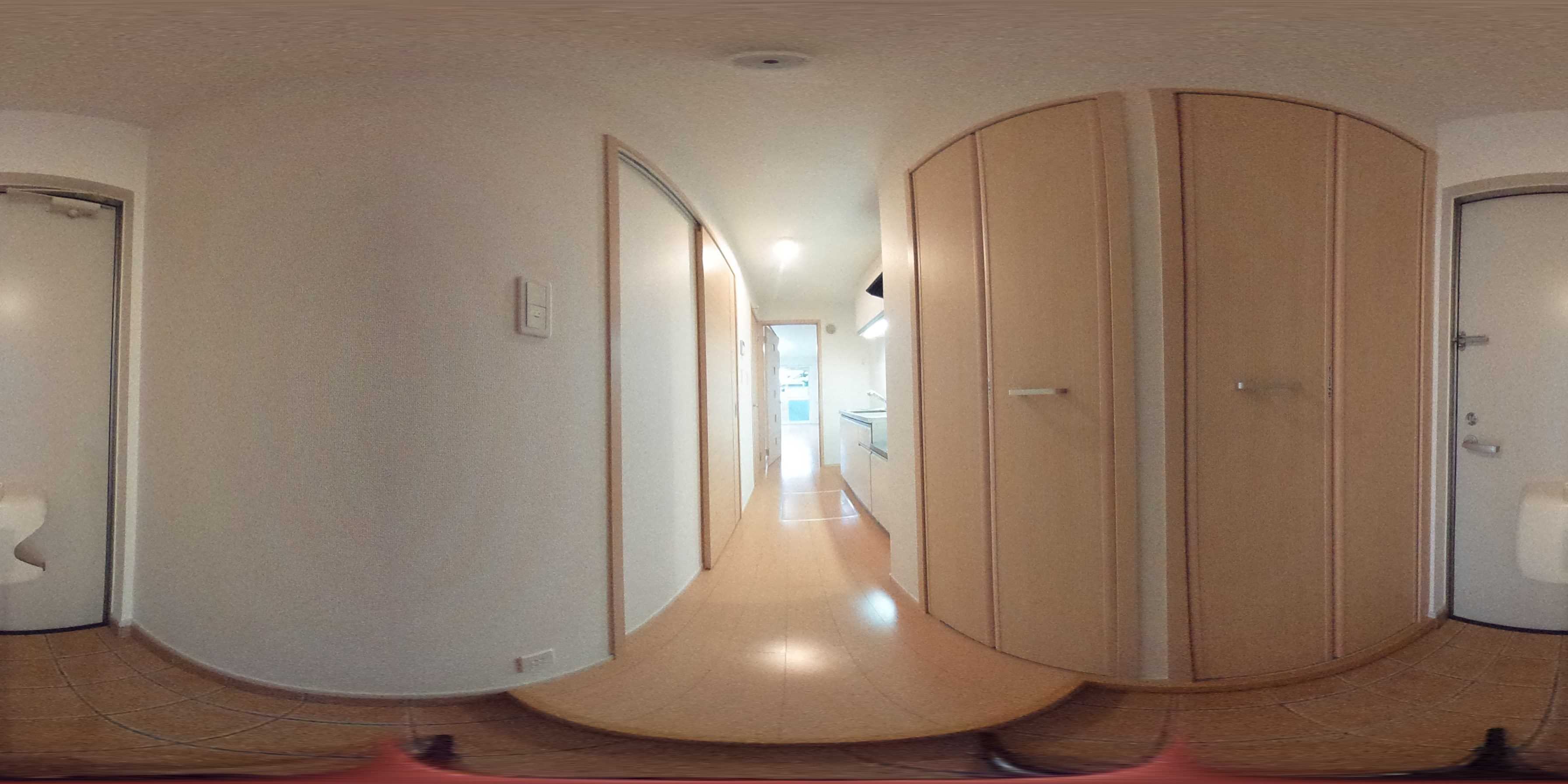 ハナミズキ 玄関