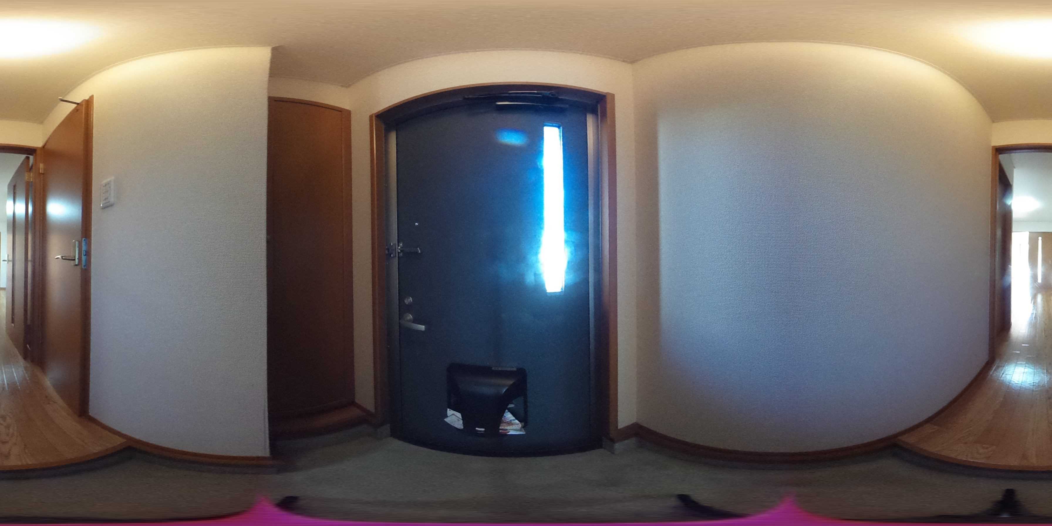 コモド二色 玄関