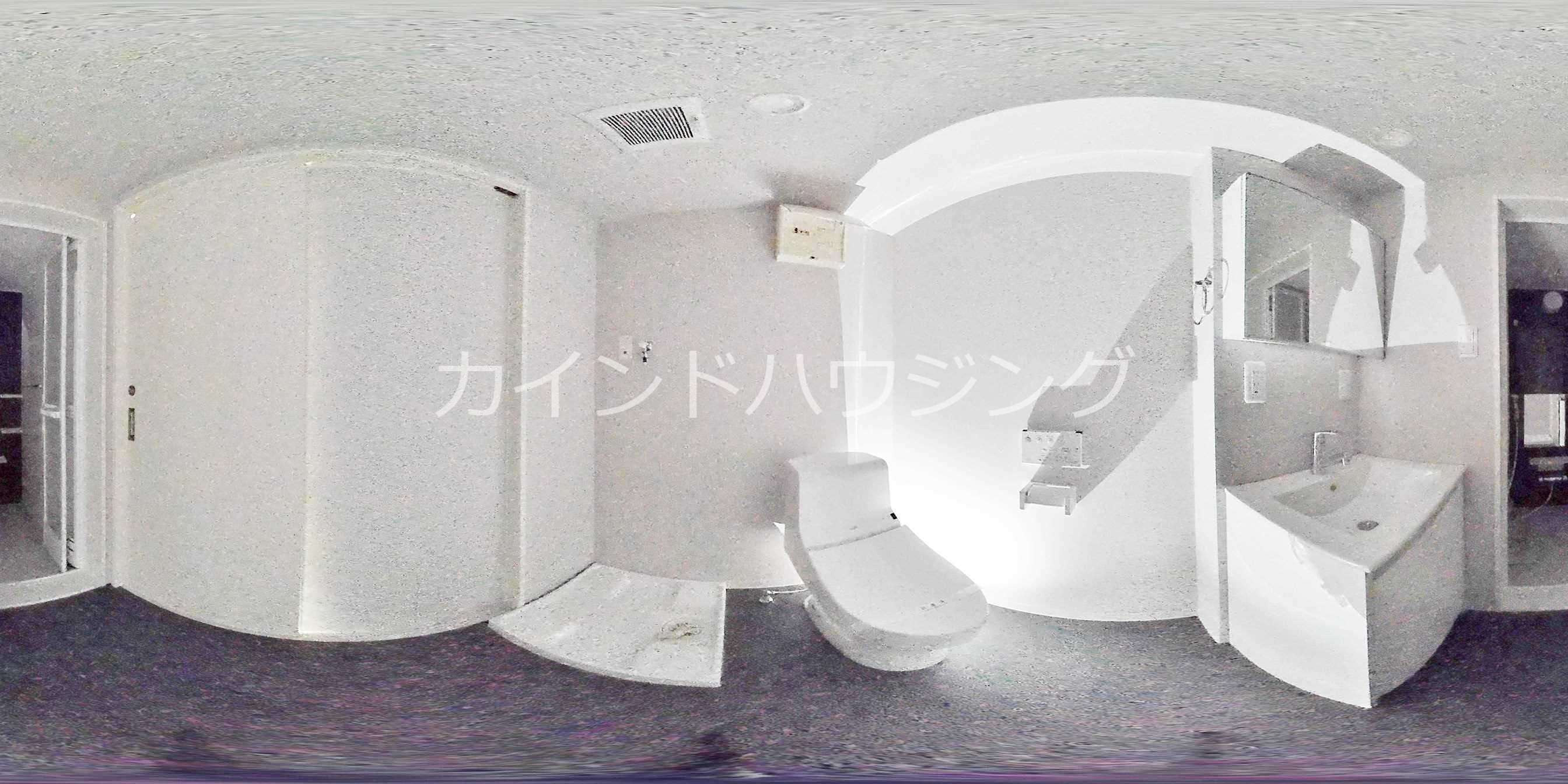 アクセル住之江 洗面所