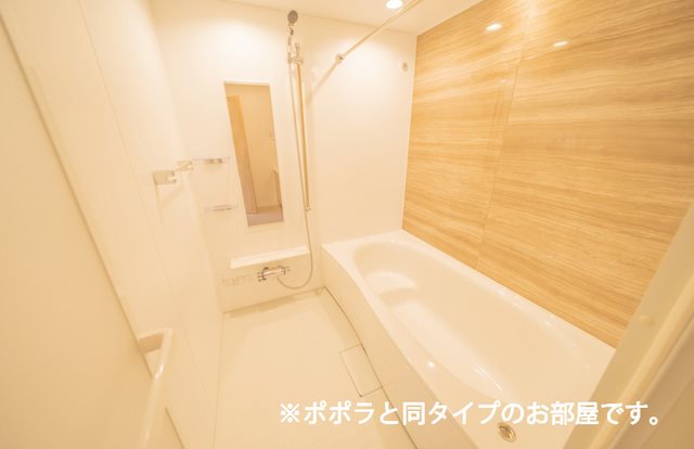 アムール日根野 風呂画像