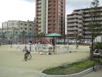 コスモハイム 公園