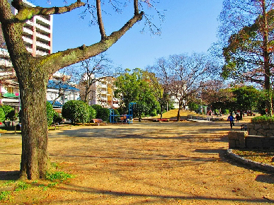 アクシスコート住之江 公園