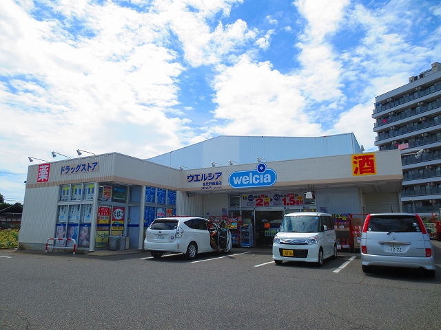 エーデルハウス  ドラッグストア